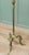 Rococo Brass Candelabra Floor Lamp, 1960 For Sale - Image 6 of 7