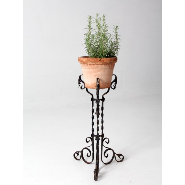 Antique Victorian Wrought Iron Plant Stand For Sale - Image 18 of 18