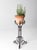 Antique Victorian Wrought Iron Plant Stand For Sale - Image 18 of 18