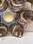 French Majolica Palissy Fish Heads Oyster Plate Thomas Sergent, Circa 1880 For Sale - Image 3 of 9