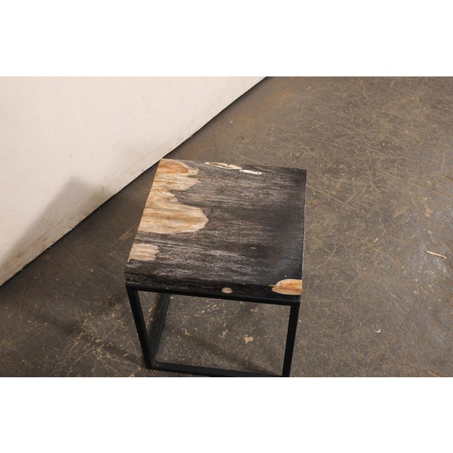 Black & Tan Petrified Wood Top Side Table For Sale - Image 10 of 12