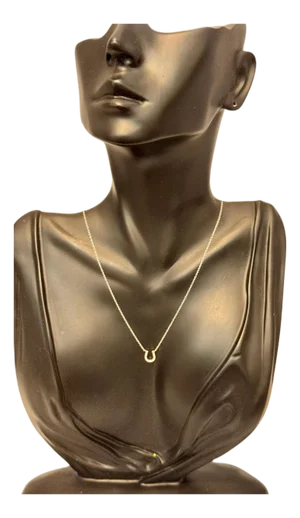 Tiffany & Co. Horseshoe 18P Diamond Necklace 16" 18 Karat White Gold Authentic