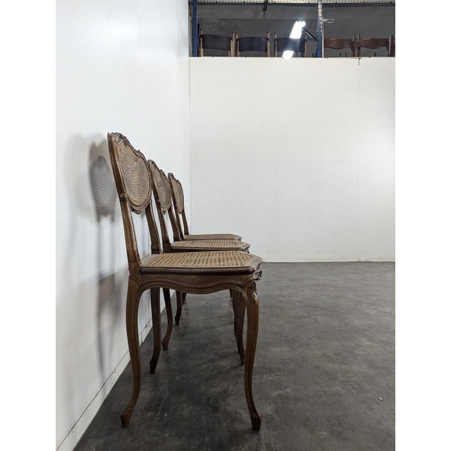 Louis XV Style Cane Chairs, Set of 3 For Sale - Image 3 of 8