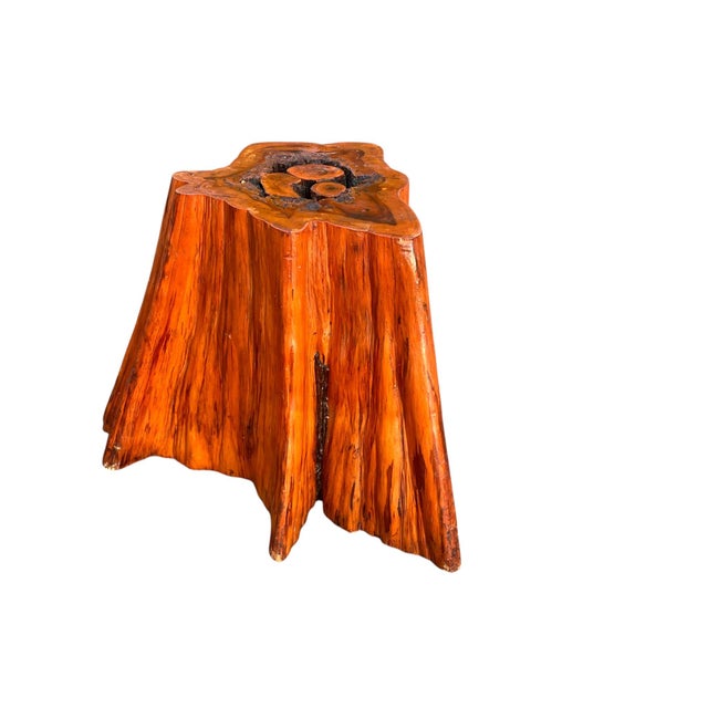 Beautiful Vintage Cypress Live Edge Tree Stump Center Coffee Table For Sale - Image 10 of 15