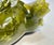 Early 1900s Natural Translucent Jade Bowenite Carved Fengshui Dragon Tea Pot. For Sale - Image 4 of 11