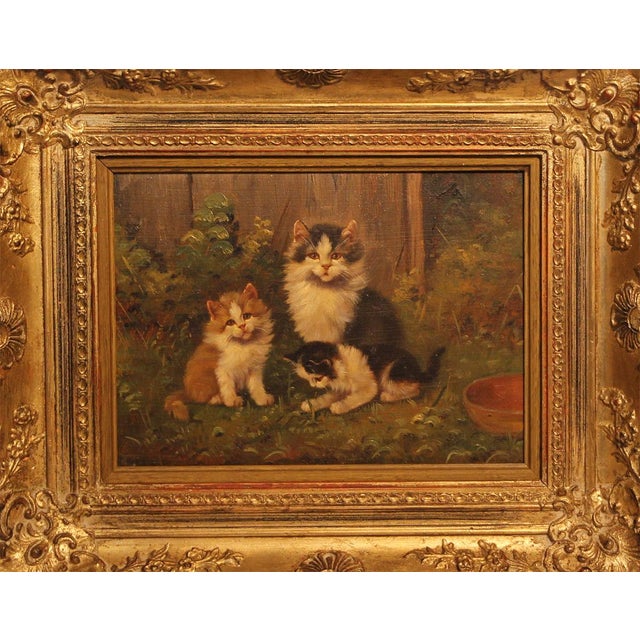 Benno Kögl, Cat with Two Kittens, Mid-20th Century, Oil on Wood, Framed For Sale - Image 10 of 10
