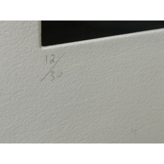 1980s Tony Cragg Drawing Laboratory Still Life No.2 State 1 1988 Edition 12/30 For Sale - Image 12 of 14