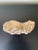 Cream Grand Tour Style Plaster Sculpture of a Classical Sandaled Foot For Sale - Image 8 of 10