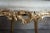 Mid 18th Century 8 Antique Swedish 18th Century Baroque French Louis XV Rococo Gilt Dining Chairs For Sale - Image 5 of 10