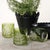 Contemporary Fern Leaf Rock Glass, Set of 6 For Sale - Image 3 of 4