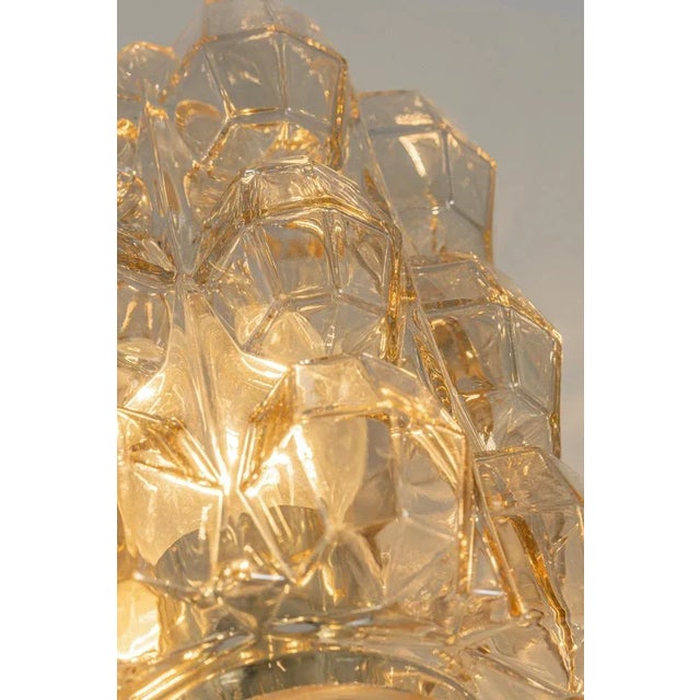 Large Amber Bubble Glass Sconce by Helena Tynell for Limburg, Germany For Sale - Image 9 of 12