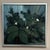 M. Jakobsson, White Blossoms, 1950s, Oil Painting on Canvas, Framed For Sale - Image 10 of 18