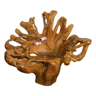 Vintage Rustic Chinese Camphor Wood Tree Root Armchair with Light Varnish For Sale