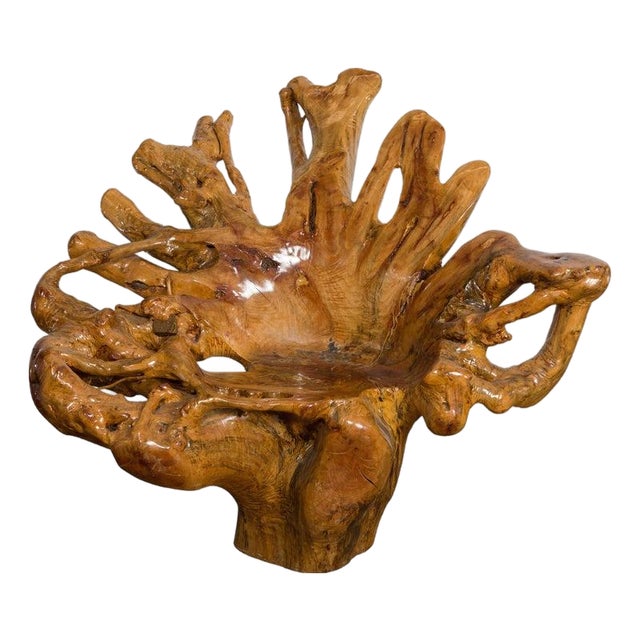 Vintage Rustic Chinese Camphor Wood Tree Root Armchair with Light Varnish For Sale