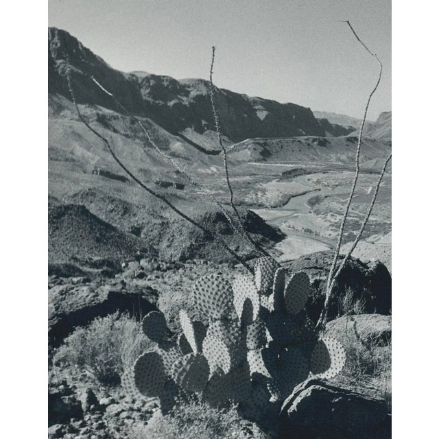 Silver Gelatin Print by Erich Andres, ca 1950. Andres was born 1905 in Germany and passed away 1992. He started his career...