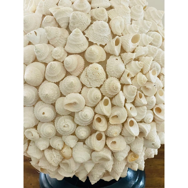 1960s Spec Large 10” Sea Shell Globe Costal Decor For Sale - Image 5 of 5