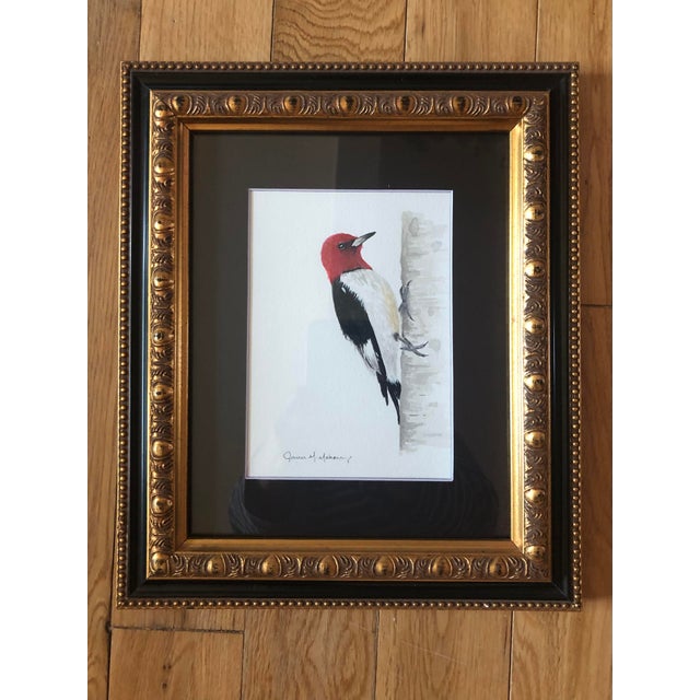 Red Original Redheaded Woodpecker Watercolor by James Mahoney For Sale - Image 8 of 11