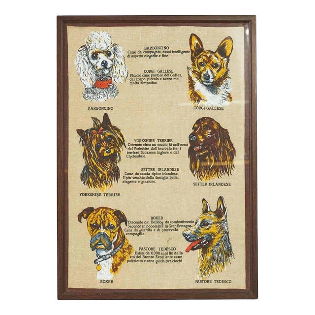 Vintage Dog Breed Print, 20th Century For Sale