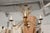 Vintage 6-Light Italian Bulrush Toleware Chandelier For Sale - Image 10 of 12