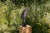 Contemporary Profile Sculpture in Bronze by Jean-Baptiste Van Den Heede For Sale - Image 3 of 9