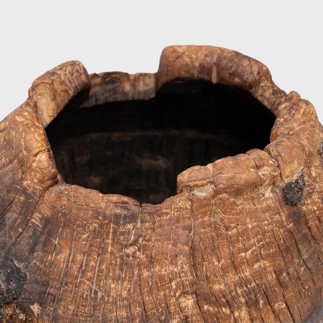 Early 20th Century Chinese Wild Timber Pot, C. 1900 For Sale - Image 5 of 6