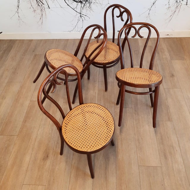 Romanian No.16 Bentwood Chairs by Michael Thonet, 1970s, Set of 4 For Sale - Image 13 of 13