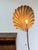 Metal 1970s Tommaso Barbi Conchiglia Floor Lamp, Italy For Sale - Image 7 of 18