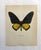 Up for sale is this gorgeous lithograph by F. Prochazka, published in Great Britain in 1965. It is in excellent, gently-...