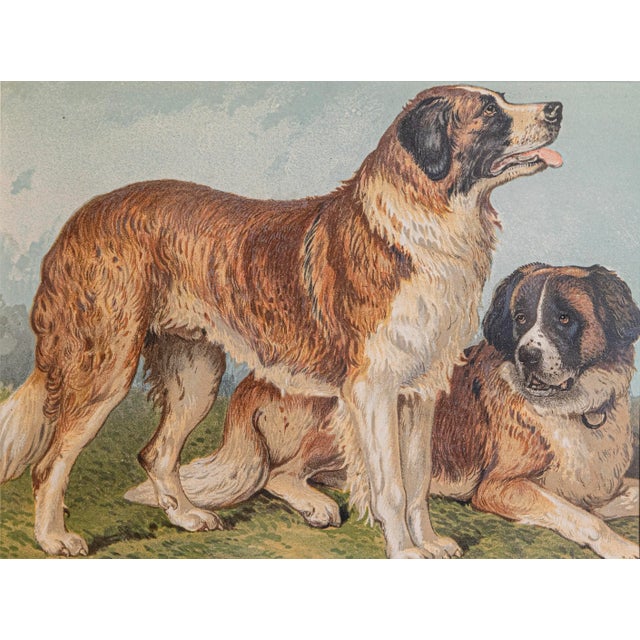 Single Print - This is for the exact St. Bernard style dog print in the main photo. (18 available see other photos and...