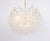 Gold Large Tulipan Glass Chandelier from Kalmar, Austria, 1960s For Sale - Image 8 of 16