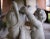 Antique Italian Carved Marble Fountain Depicting Putti Wrestling a Dolphin For Sale - Image 4 of 13