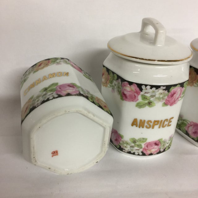 Antique European Ceramic Kitchen Canisters Set Of 9 Chairish