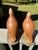 Pair of Glazed Ceramic Bobwhite Quail For Sale In Philadelphia - Image 6 of 12