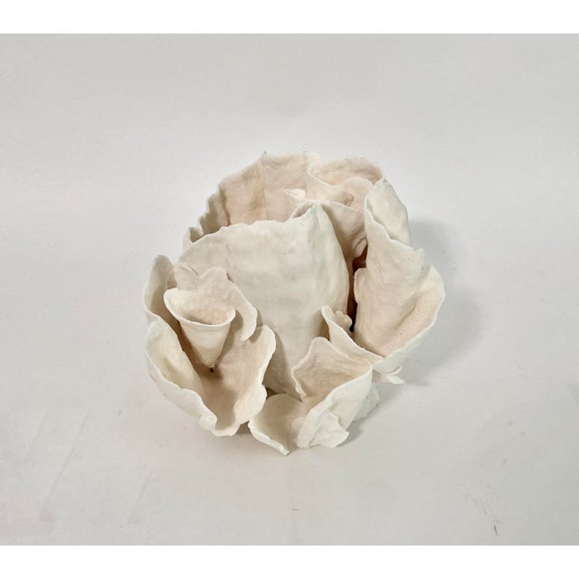 This unusual Cups Coral specimen is a statement piece featuring the unique texture and free form folds of this variety....