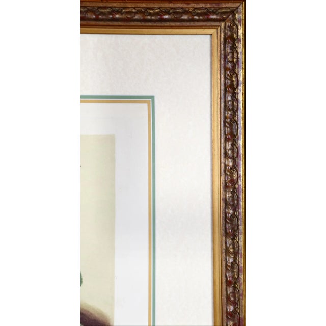 Early 19th Century Plums: George Brookshaw 'S Framed Hand-Colored 19th C. Aquatint, 1804 For Sale - Image 5 of 6