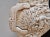 Ivory Large Vintage Italian Capodimonte Style Porcelain Covered Serving Dish For Sale - Image 8 of 12