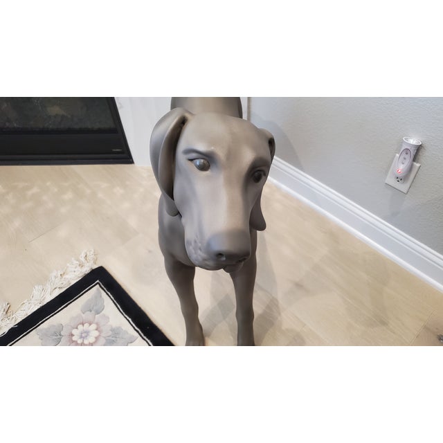 2010s Goldsmith Inc. Discontinued Fiberglass Weimaraner Dog Mannequin For Sale - Image 5 of 6