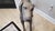 2010s Goldsmith Inc. Discontinued Fiberglass Weimaraner Dog Mannequin For Sale - Image 5 of 6