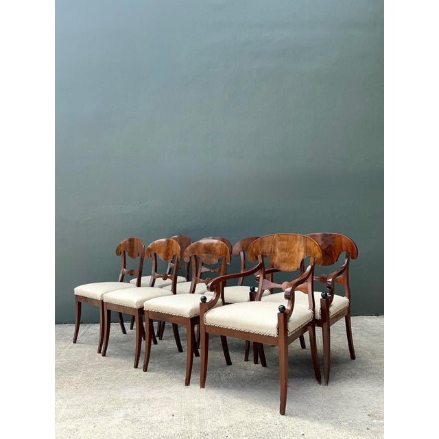 Vintage Biedermeier Flame Dining Chairs - Set of 8 For Sale - Image 17 of 17