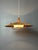 Beige Large Mid-Century Teak and Sisal Cord Pendant from Temde Leuchten, 1960s For Sale - Image 8 of 18