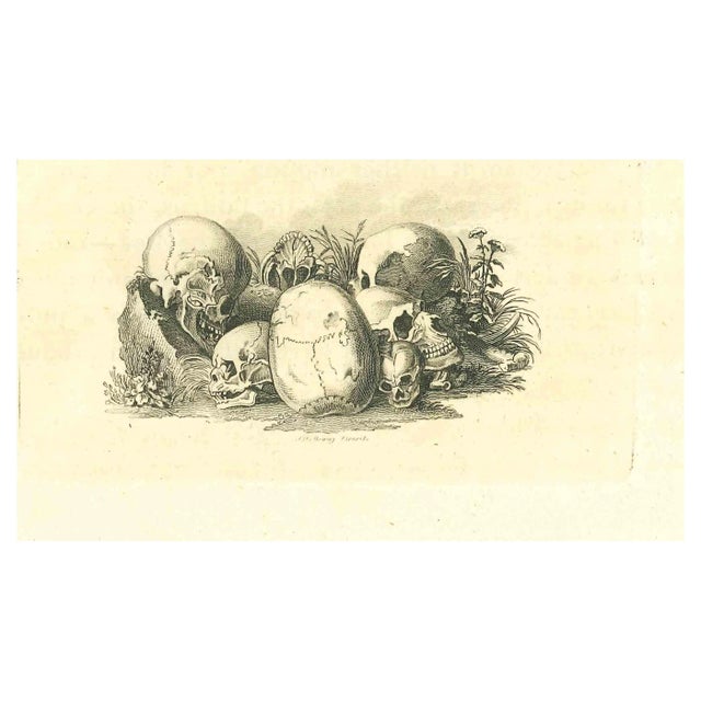 Thomas Holloway, Skulls: The Physiognomy, Etching, 1810 For Sale