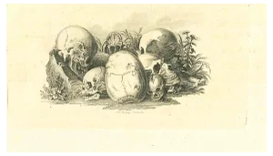 Thomas Holloway, Skulls: The Physiognomy, Etching, 1810
