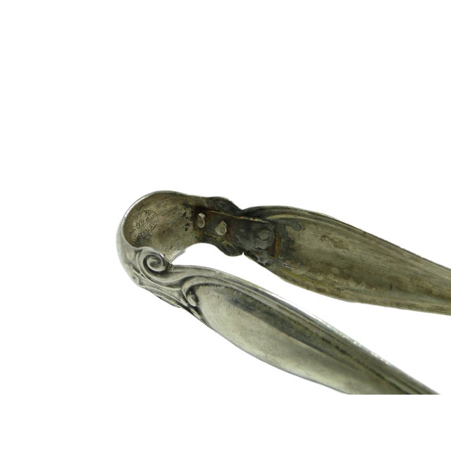 Biedermeier Silver Plated Pinsel from Fraget, Poland, 1850s For Sale - Image 5 of 10