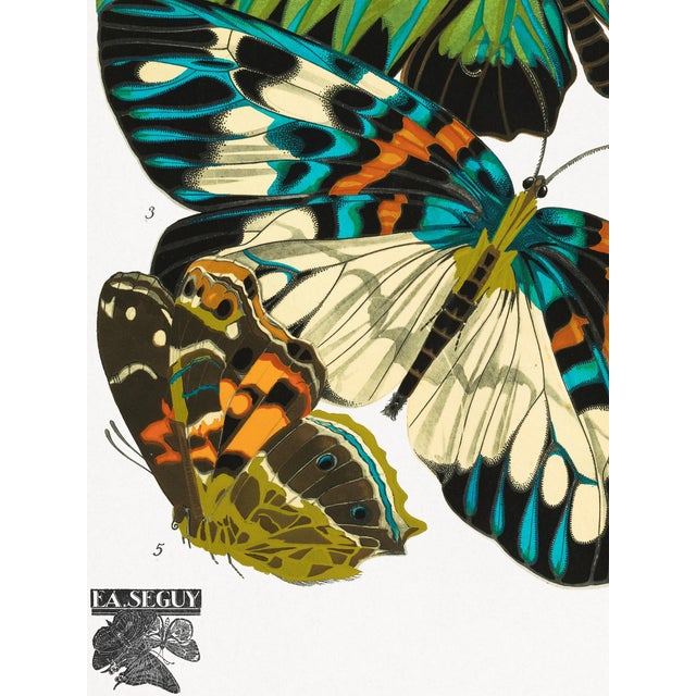 Vintage Butterfly Illustration, Art Deco Insect Print Reproduction, 1925, 18" × 24" For Sale - Image 4 of 6
