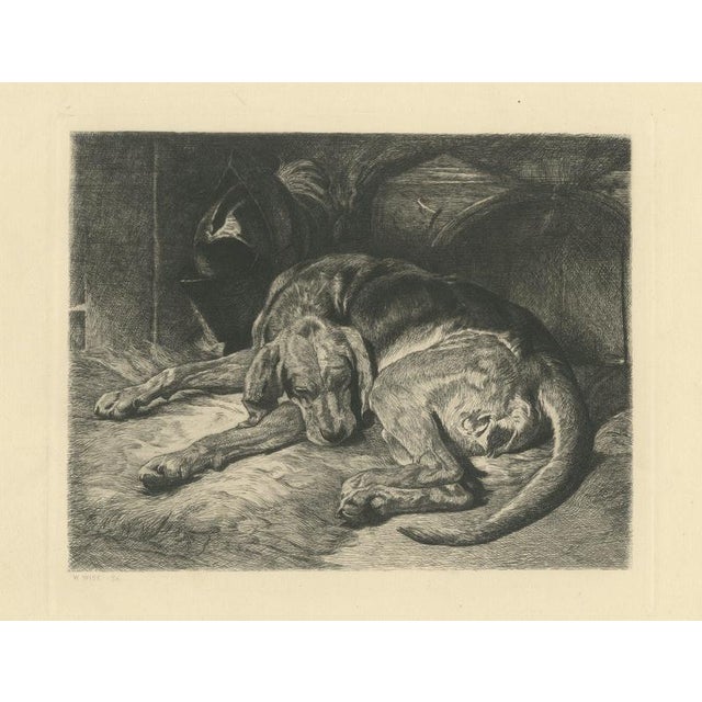 W. Wise, Sleeping Hound with a Plumed Helmet, 1880, Etching For Sale - Image 9 of 9