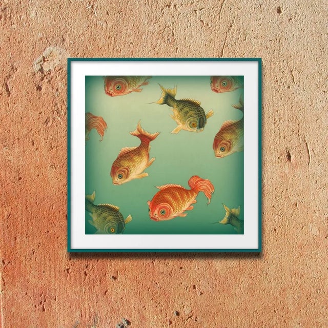 Realism Vintage 'Many Fish' Archival Print For Sale - Image 3 of 5
