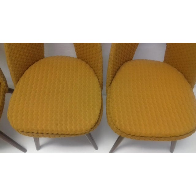 Dining Chairs by Antonín Šuman, 1960s, Set of 4 For Sale - Image 10 of 13