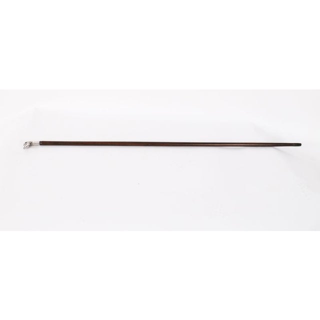 This is a beautiful antique French novelty Pheasant silver walking stick, late 19th century in date. The striking stick...