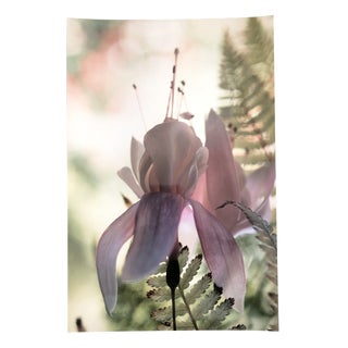 Floral Still Life Color Photo by Garo For Sale