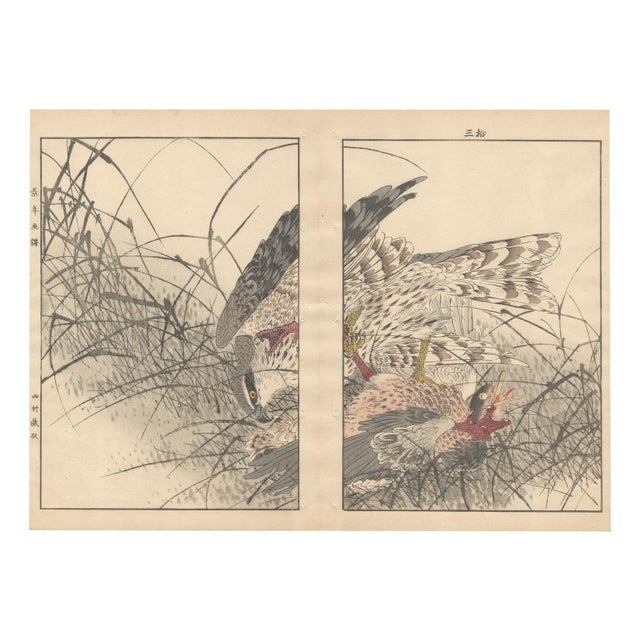 Imao Keinen, Eurasian Goshawk, 1892, Print For Sale - Image 18 of 18